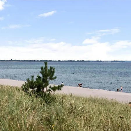 Hébergement de vacances M13021-vaeggerlose-tranevej-11-b